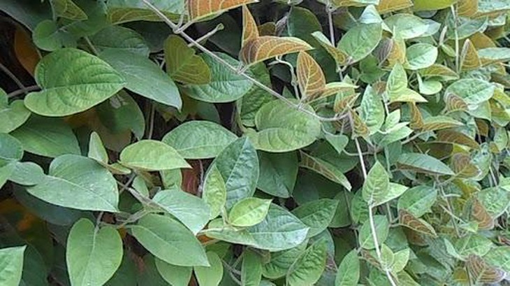 photo-1630728480500