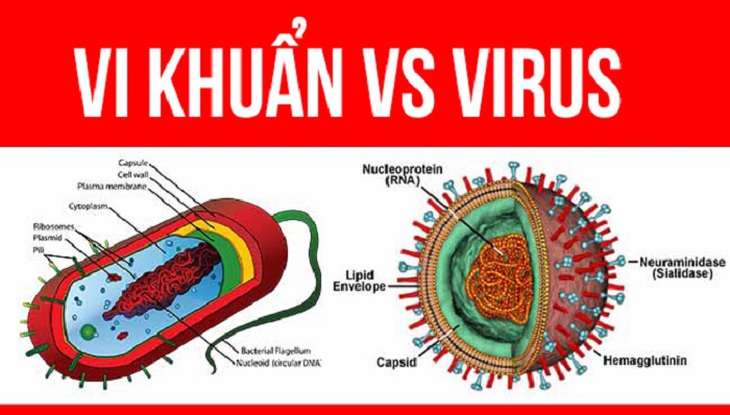 Cách nhận biết trẻ bị lây nhiễm virus - Ảnh 4.
