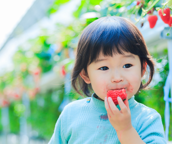 Nâng cao sức đề kháng để con vui làm điều con thích - Ảnh 2. Nâng cao sức đề kháng để con vui làm điều con thích - Ảnh 2.