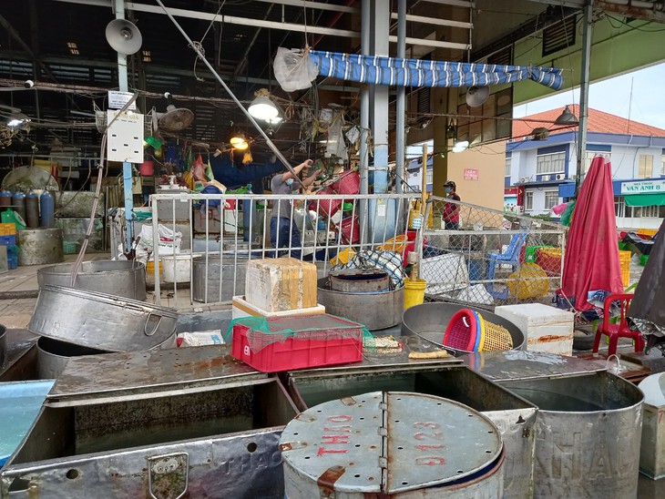 Mở lại hoạt động tập kết và trung chuyển, chợ lớn nhất TP.HCM phòng COVID-19 thế nào? - Ảnh 6. Mở lại hoạt động tập kết và trung chuyển, chợ lớn nhất TP.HCM phòng COVID-19 thế nào? - Ảnh 6.