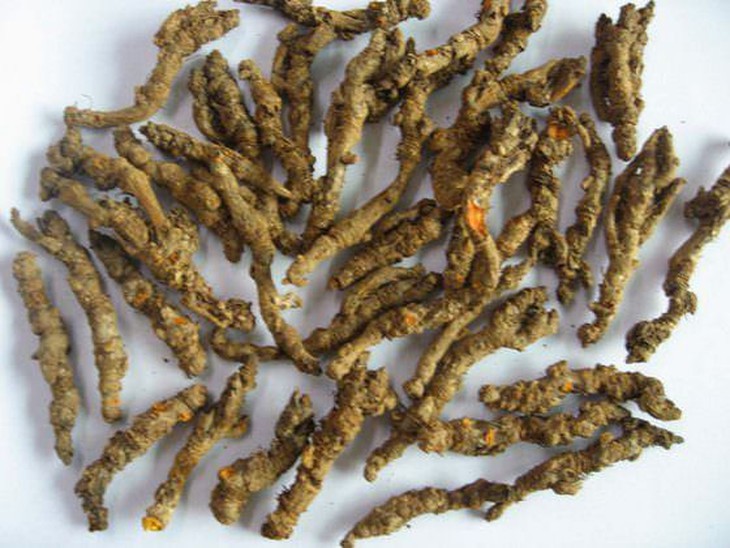 Đông y chữa chốc đầu trẻ em - Ảnh 4.