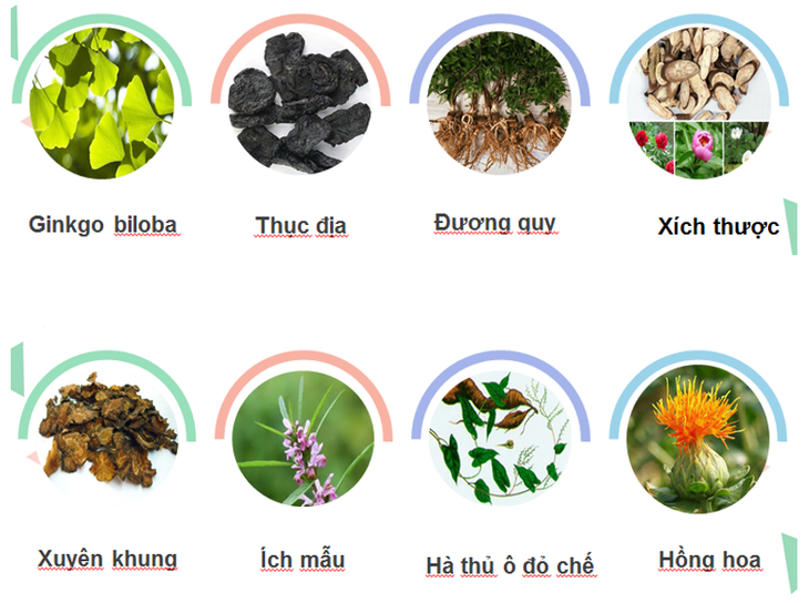 Giải pháp hỗ trợ tăng cường tuần hoàn máu – dùng cho cả người tiểu đường - Ảnh 3. Giải pháp hỗ trợ tăng cường tuần hoàn máu – dùng cho cả người tiểu đường - Ảnh 3.