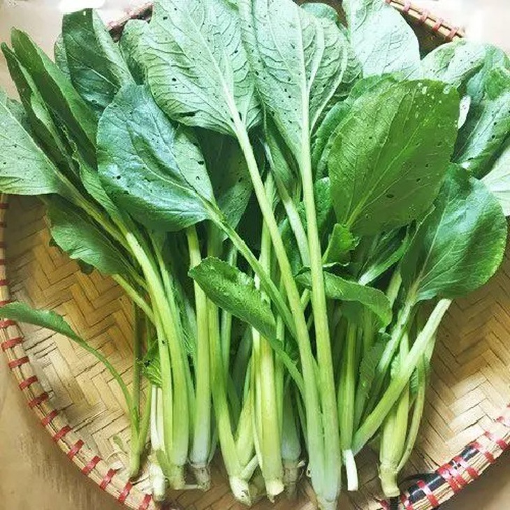 Cách lựa chọn, bảo quản, chế biến rau cải an toàn dầu dinh dưỡng - Ảnh 3. Cách lựa chọn, bảo quản, chế biến rau cải an toàn dầu dinh dưỡng - Ảnh 3.