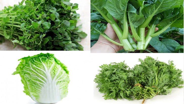 Cách lựa chọn, bảo quản, chế biến rau cải an toàn dầu dinh dưỡng - Ảnh 2. Cách lựa chọn, bảo quản, chế biến rau cải an toàn dầu dinh dưỡng - Ảnh 2.