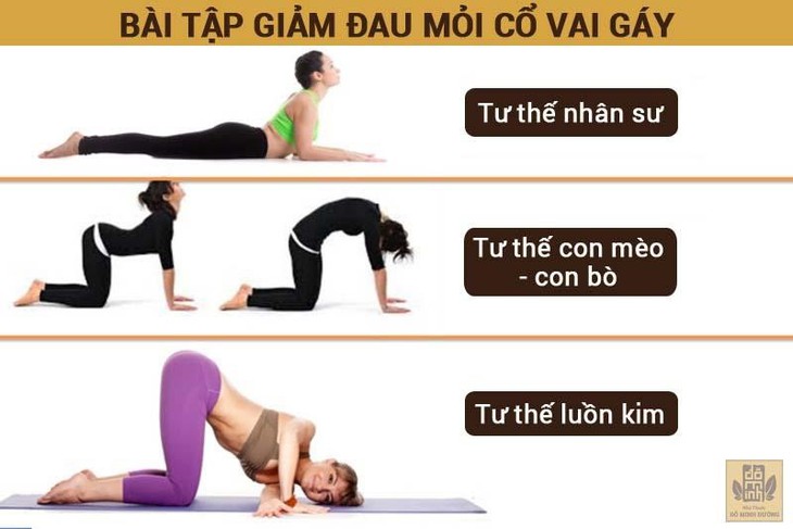 Đau vai gáy là bệnh gì? Nguyên nhân, triệu chứng và cách khắc phục - Ảnh 3.