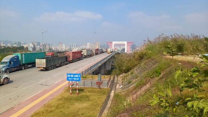 Rà soát, xử lý hàng hóa xuất nhập khẩu tồn đọng có nguy cơ hư hỏng trên địa bàn - Ảnh 1.