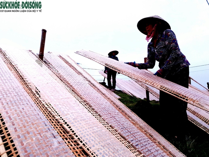 Làng bánh đa nem Hà Tĩnh tất bật vào vụ Tết - Ảnh 6.