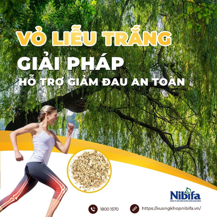 Bí quyết hỗ trợ mạnh xương khớp với chiết xuất salicin từ vỏ cây liễu trắng - Ảnh 1.