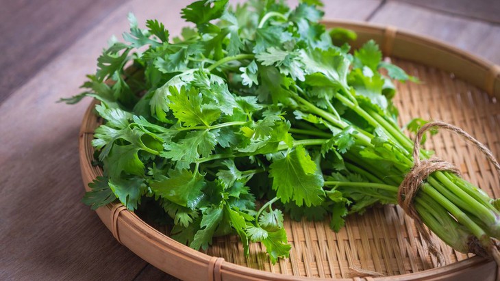 Rau mùi - loại gia vị ngày Tết tốt từ rễ tới ngọn - Ảnh 3. Rau mùi - loại gia vị ngày Tết tốt từ rễ tới ngọn - Ảnh 3.