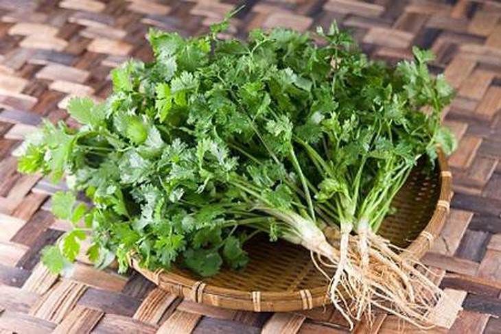 Rau mùi - loại gia vị ngày Tết tốt từ rễ tới ngọn - Ảnh 8. Rau mùi - loại gia vị ngày Tết tốt từ rễ tới ngọn - Ảnh 8.