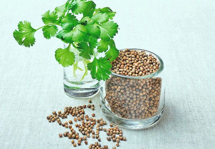 Rau mùi - loại gia vị ngày Tết tốt từ rễ tới ngọn - Ảnh 6. Rau mùi - loại gia vị ngày Tết tốt từ rễ tới ngọn - Ảnh 6.