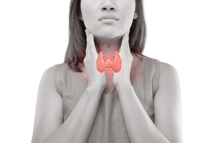 Thuốc điều trị suy giáp và những điều cần lưu ý - Ảnh 1. Thuốc điều trị suy giáp và những điều cần lưu ý - Ảnh 1.