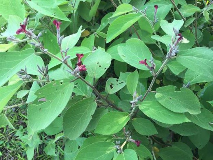 photo-1642742808619