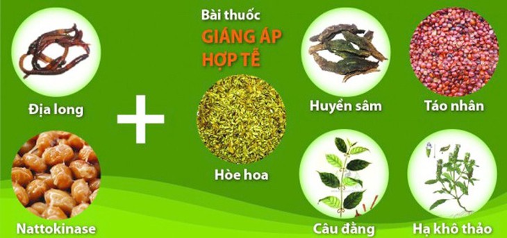 Đột quỵ ngày Tết, giải pháp nào giúp người huyết áp cao "tự vệ"? - Ảnh 3. Đột quỵ ngày Tết, giải pháp nào giúp người huyết áp cao "tự vệ"? - Ảnh 3.