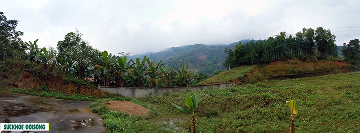 Mang Tết ấm lên vùng cao - Ảnh 2.