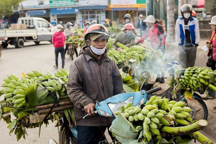 "Thủ phủ" chuối lớn nhất Quảng Trị nhộn nhịp những ngày giáp Tết - Ảnh 4.