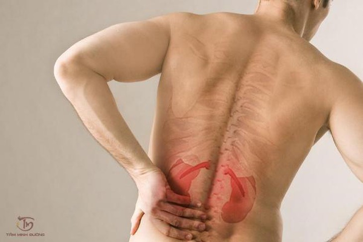 Thận yếu là gì? Dấu hiệu và cách chữa trị hiệu quả