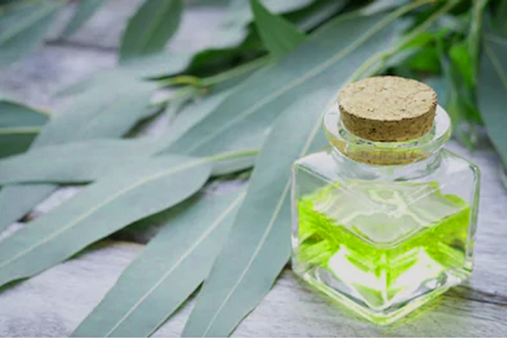 Dầu Khuynh diệp là một loại dầu hòa tan, xuất phát từ loại lá cây Khuynh diệp khô, đó là một chất lỏng không màu, mùi gỗ mạnh và mùi thơm ngọt. Dầu Khuynh diệp là một loại dầu hòa tan, xuất phát từ loại lá cây Khuynh diệp khô, đó là một chất lỏng không màu, mùi gỗ mạnh và mùi thơm ngọt.