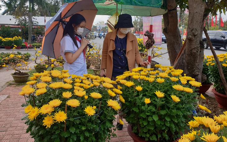 Hoa Tết xuống phố, người bán vừa đợi khách vừa run