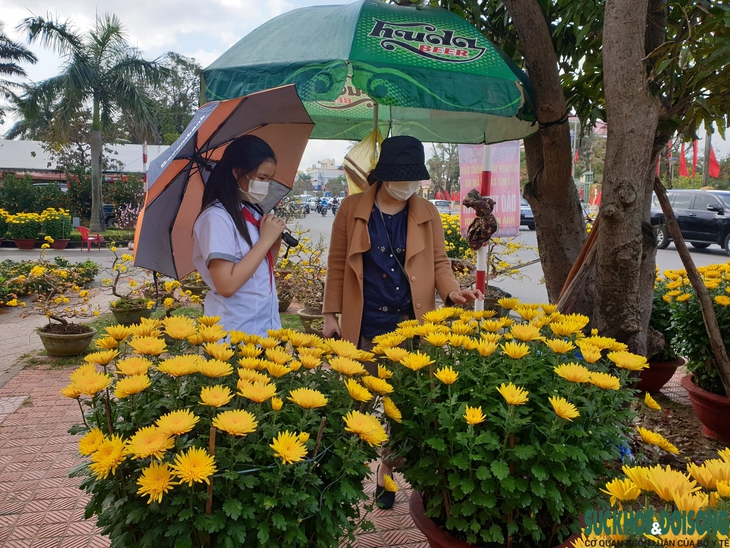 Hoa Tết xuống phố, người bán vừa đợi khách vừa run - Ảnh 9. Hoa Tết xuống phố, người bán vừa đợi khách vừa run - Ảnh 9.