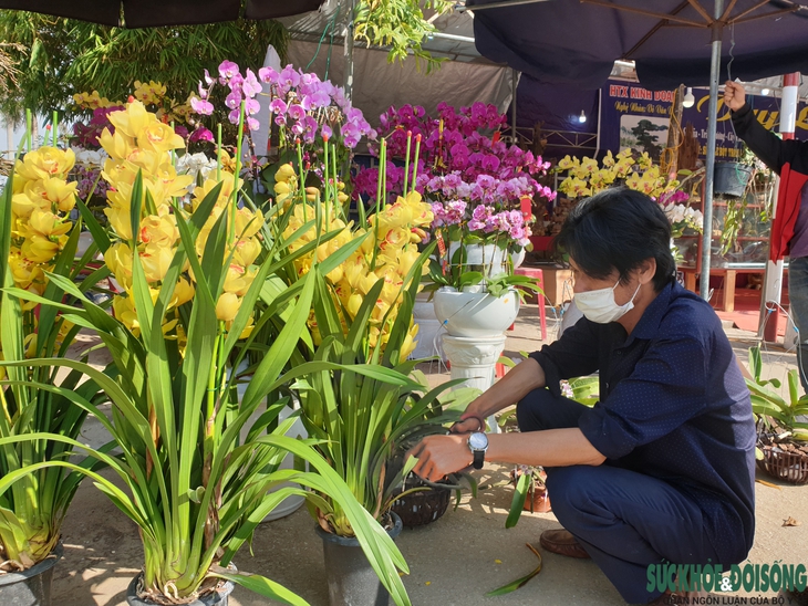 Hoa Tết xuống phố, người bán vừa đợi khách vừa run - Ảnh 15. Hoa Tết xuống phố, người bán vừa đợi khách vừa run - Ảnh 15.