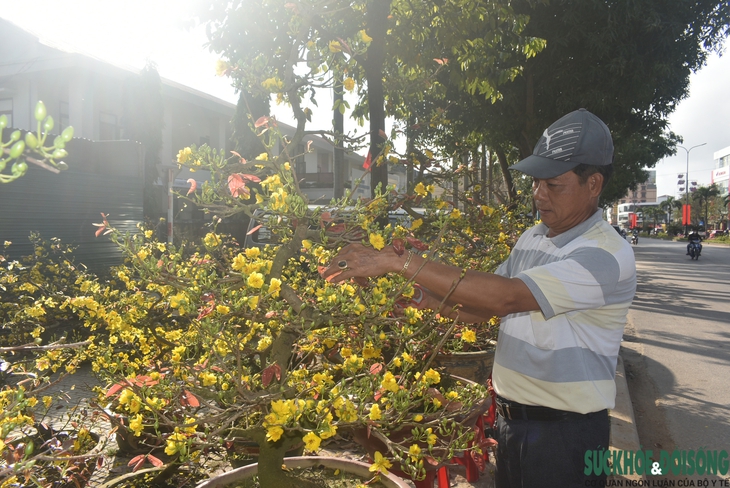 Hoa Tết xuống phố, người bán vừa đợi khách vừa run - Ảnh 3. Hoa Tết xuống phố, người bán vừa đợi khách vừa run - Ảnh 3.