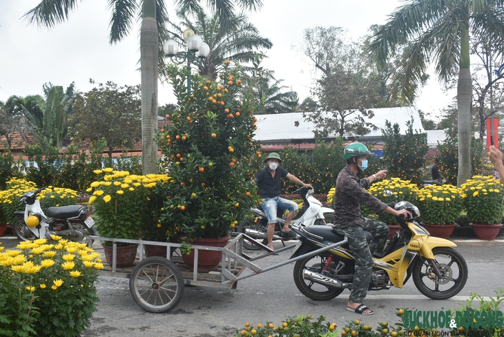 Hoa Tết xuống phố, người bán vừa đợi khách vừa run - Ảnh 16. Hoa Tết xuống phố, người bán vừa đợi khách vừa run - Ảnh 16.