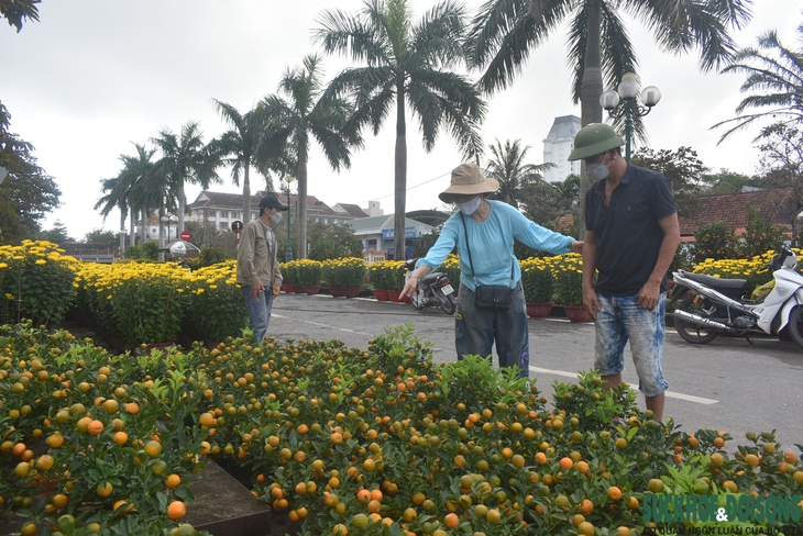 Hoa Tết xuống phố, người bán vừa đợi khách vừa run - Ảnh 10. Hoa Tết xuống phố, người bán vừa đợi khách vừa run - Ảnh 10.