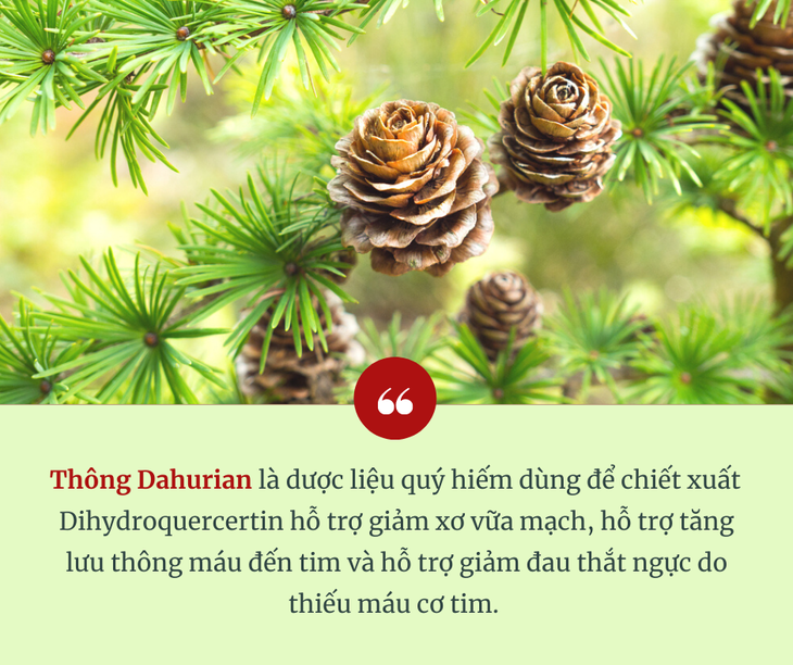 Rối loạn chức năng vi mạch - Nguyên nhân quan trọng gây thiếu máu cơ tim - Ảnh 2. Rối loạn chức năng vi mạch - Nguyên nhân quan trọng gây thiếu máu cơ tim - Ảnh 2.