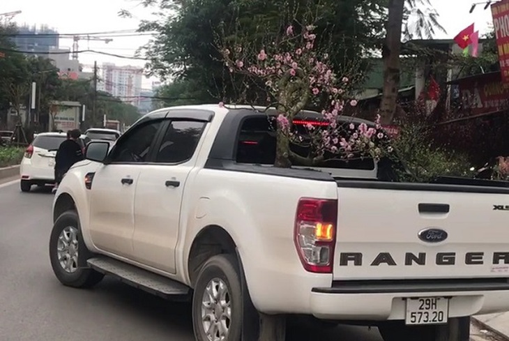 Sắc Tết rực rỡ, náo nhiệt tại “đường hoa” qui mô nhất Hà Nội - Ảnh 12.