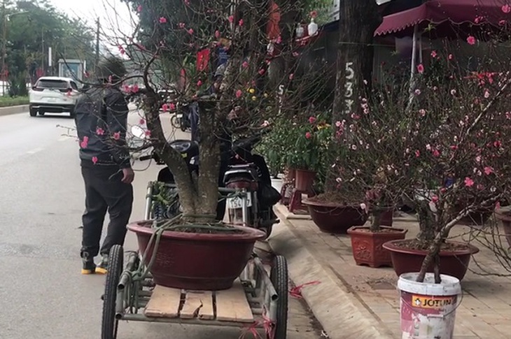 Sắc Tết rực rỡ, náo nhiệt tại “đường hoa” qui mô nhất Hà Nội - Ảnh 13.