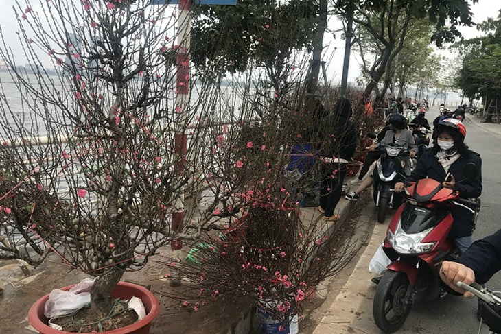 Sắc Tết rực rỡ, náo nhiệt tại “đường hoa” qui mô nhất Hà Nội - Ảnh 2.