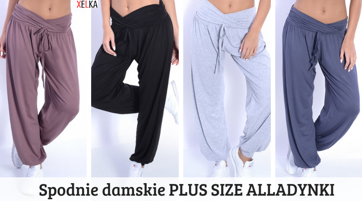 Plus size - mặc thế nào? Chuyên gia tư vấn - Ảnh 3. Plus size 2