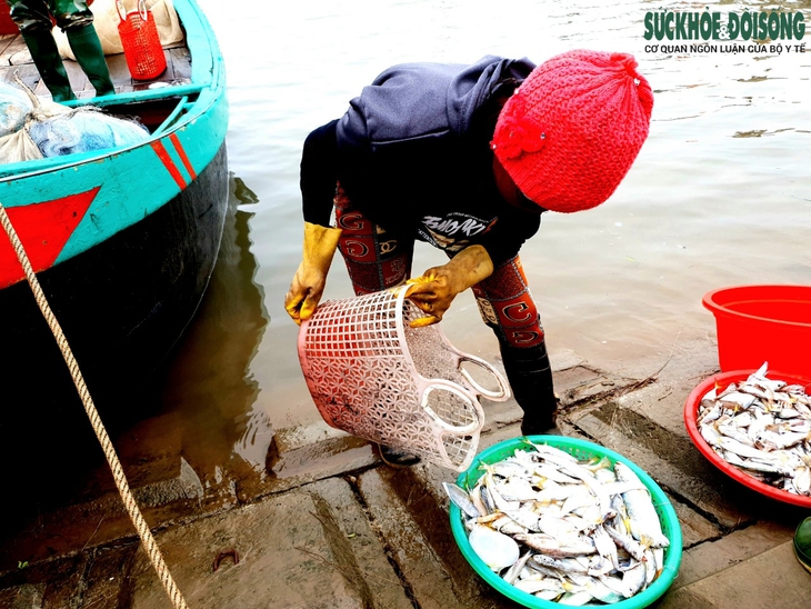 Ra khơi mùa biển biển động, tôm cá về đầy khoang - Ảnh 4.