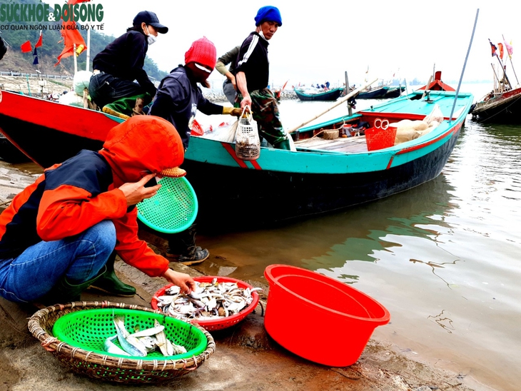 Ra khơi mùa biển biển động, tôm cá về đầy khoang - Ảnh 2.