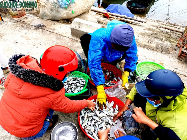 Ra khơi mùa biển biển động, tôm cá về đầy khoang - Ảnh 12.