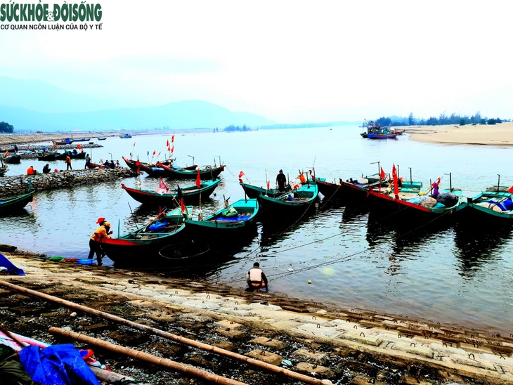 Ra khơi mùa biển biển động, tôm cá về đầy khoang - Ảnh 1.