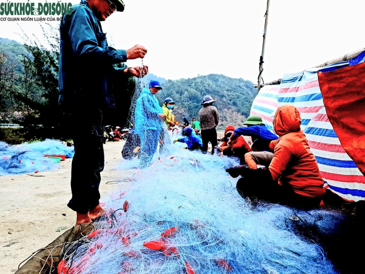 Ra khơi mùa biển biển động, tôm cá về đầy khoang - Ảnh 5.