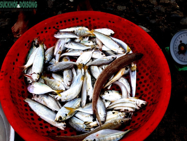 Ra khơi mùa biển biển động, tôm cá về đầy khoang - Ảnh 9.