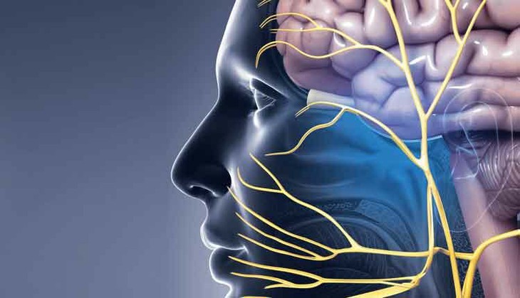 Thuốc gì trị đau dây thần kinh sinh ba? - Ảnh 1. Thuốc gì trị đau dây thần kinh sinh ba? - Ảnh 1.