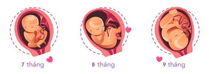 Ba tháng cuối thai kỳ - giai đoạn chuyển dạ - Ảnh 1.