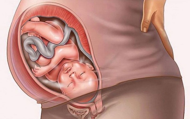 Ba tháng cuối thai kỳ - giai đoạn chuyển dạ - Ảnh 3.