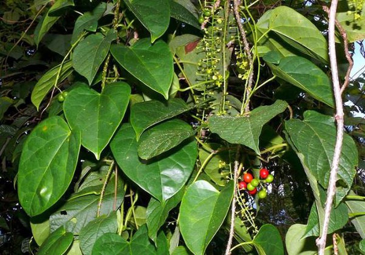 photo-1641485004513