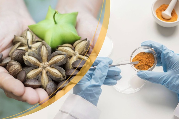 Sản phẩm "vàng" vì sức khoẻ cộng đồng  - Ảnh 1.