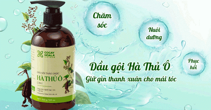 Làm sao để sở hữu tóc đen, khỏe tự nhiên? Dùng dầu gội thảo dược gì? - Ảnh 2.