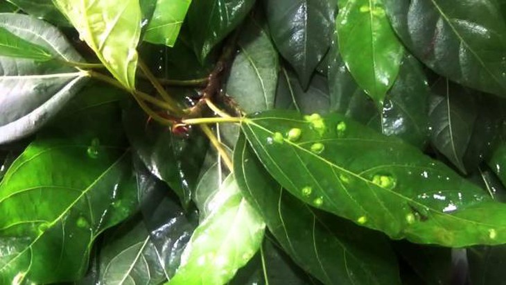 photo-1641738714272