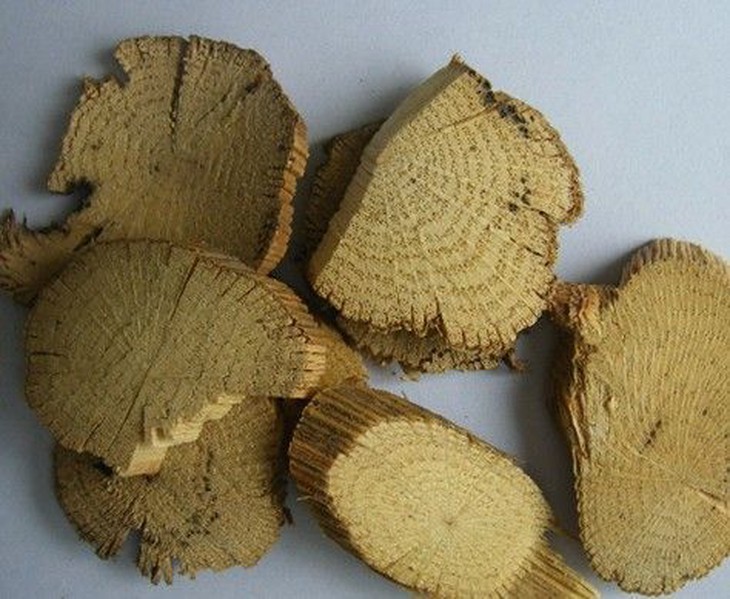 Mộc thông - vị thuốc trị tiểu tiện khó, ít sữa, kinh nguyệt bế tắc… - Ảnh 3.