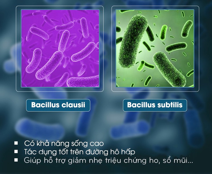 Chuyên gia hướng dẫn cách hỗ trợ giảm triệu chứng viêm mũi họng cho trẻ - Ảnh 2. Chuyên gia hướng dẫn cách hỗ trợ giảm triệu chứng viêm mũi họng cho trẻ - Ảnh 2.