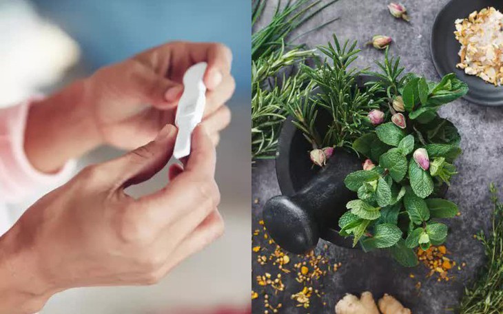 7 loại thảo mộc tăng cường sức khỏe, tốt cho quá trình thụ thai