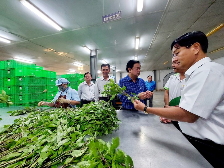 Bộ trưởng Bộ Nông nghiệp và Phát triển Nông thôn thăm nông trường WinEco Củ Chi - Ảnh 2.